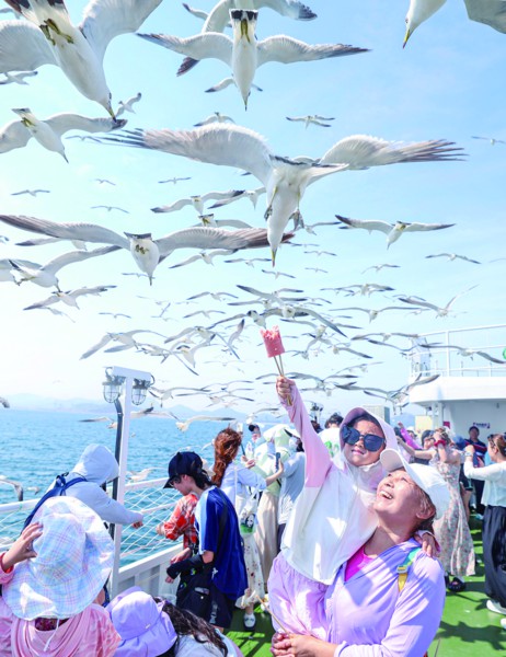 7月5日,在荣成市海驴岛海域的一艘游船上,游客与黑尾鸥互动。新华社发